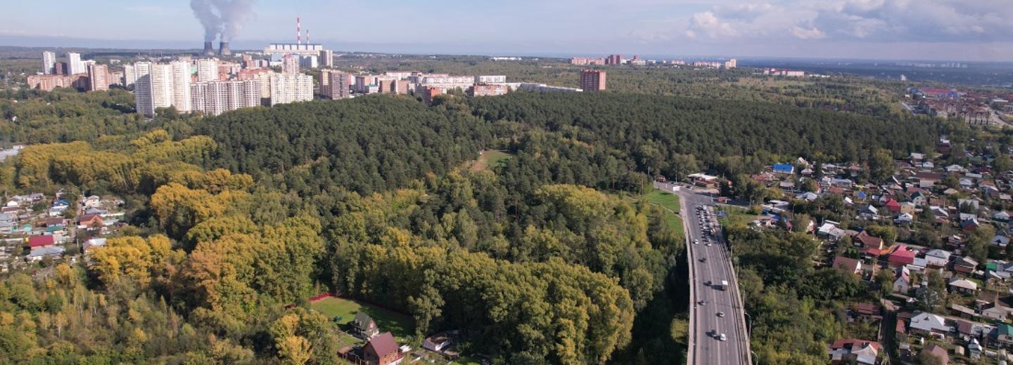 Новосибирцев просят выбрать проект благоустройства Инюшенского бора