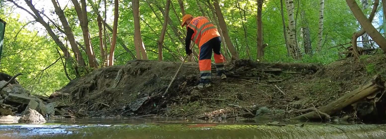 Мэр Кудрявцев призвал новосибирцев беречь природу