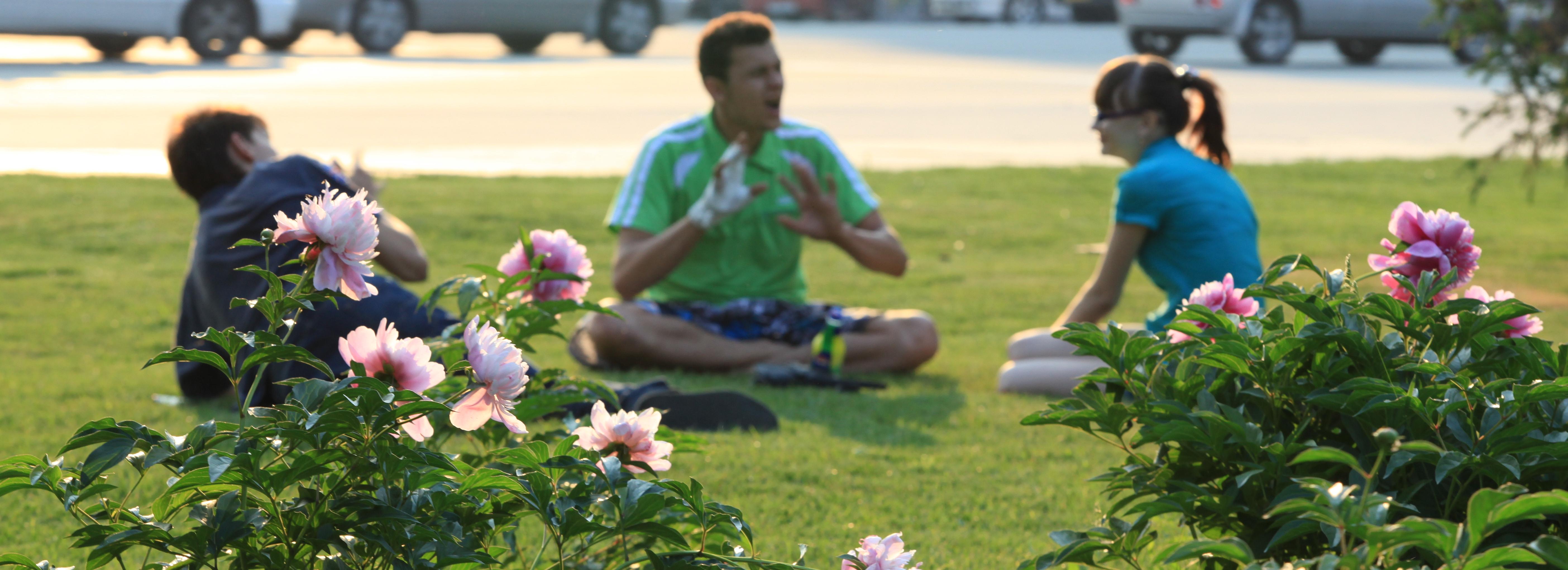 Настоящая летняя жара до +32 идёт в Новосибирск