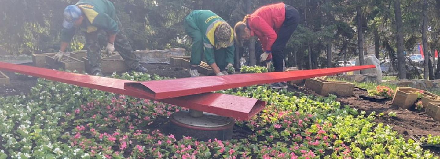 Тысячи бегоний высаживают на Цветочных часах в центре Новосибирска