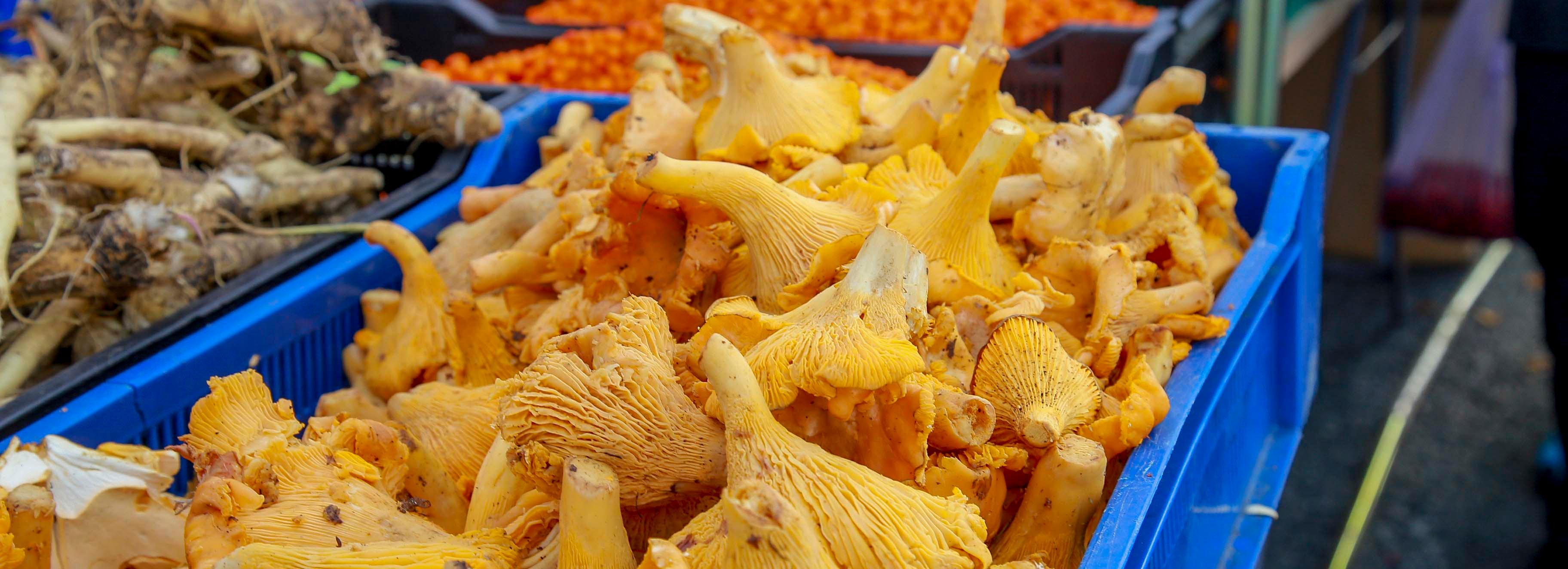 194 ярмарки низких цен провели в 2022 году в Новосибирске