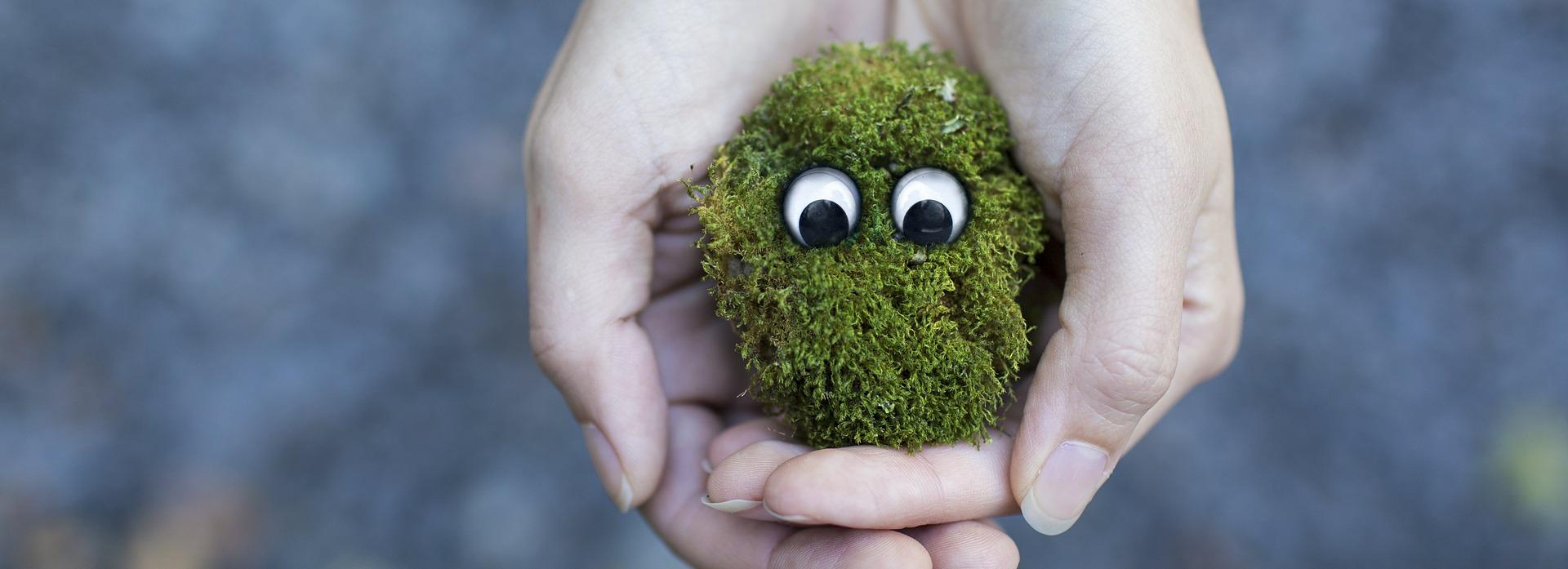 Новосибирцам предложили сделать экорекламу для автобусов