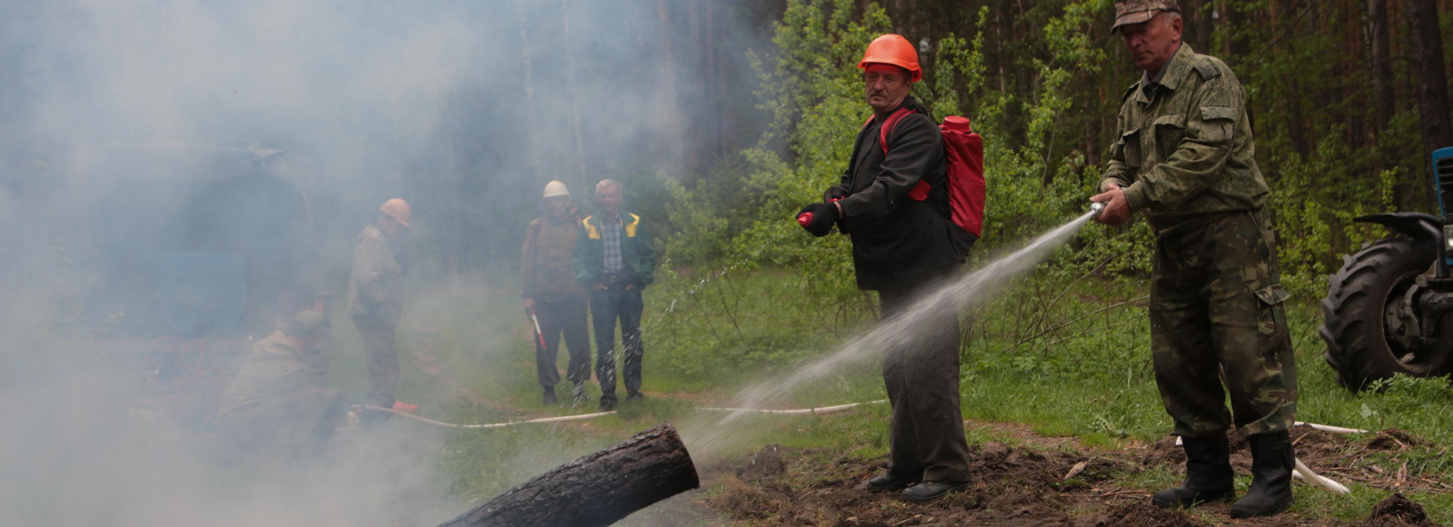 Все лесные пожары в этом сезоне под Новосибирском тушили в первые сутки