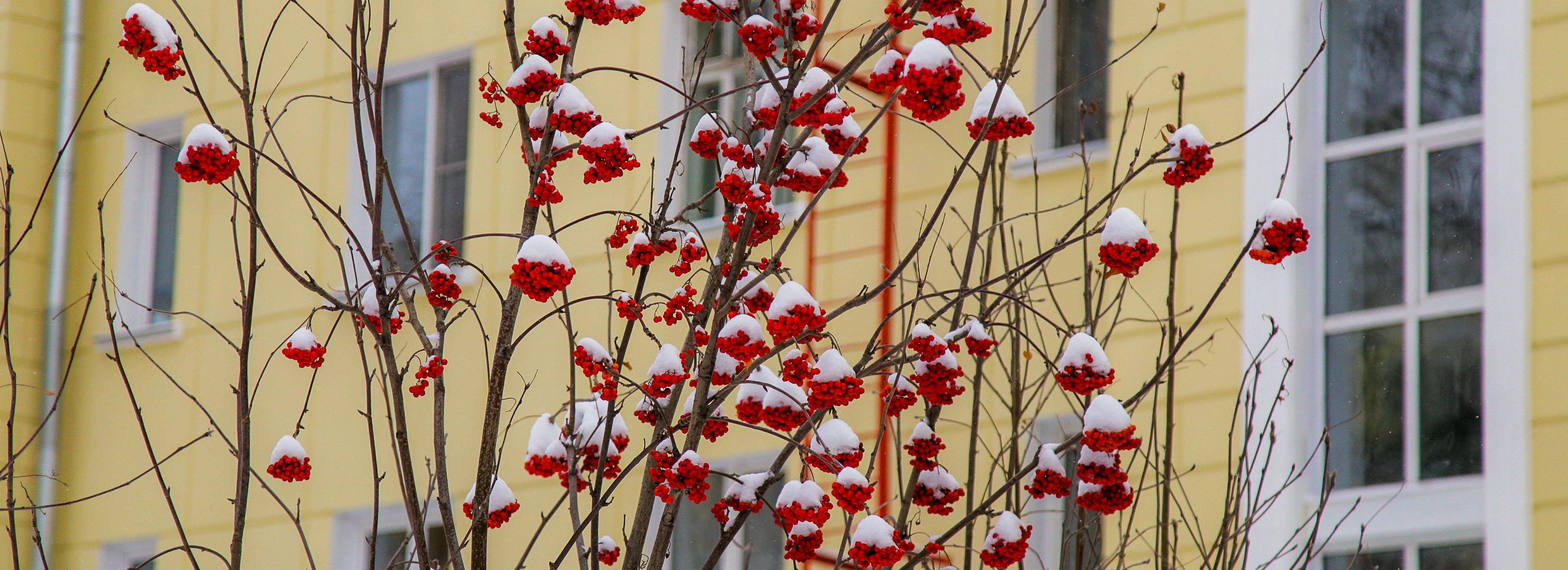 На температурных качелях покачает погода новосибирцев в выходные