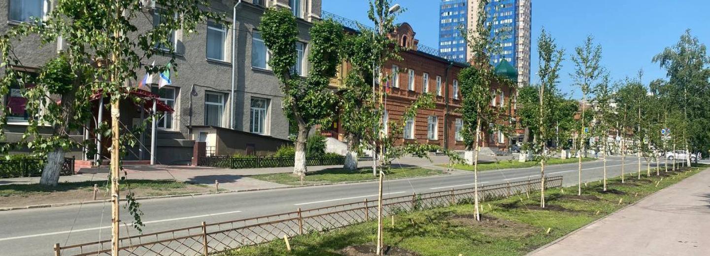 Заменить засохшие саженцы на улице Свердлова поручил мэр Кудрявцев