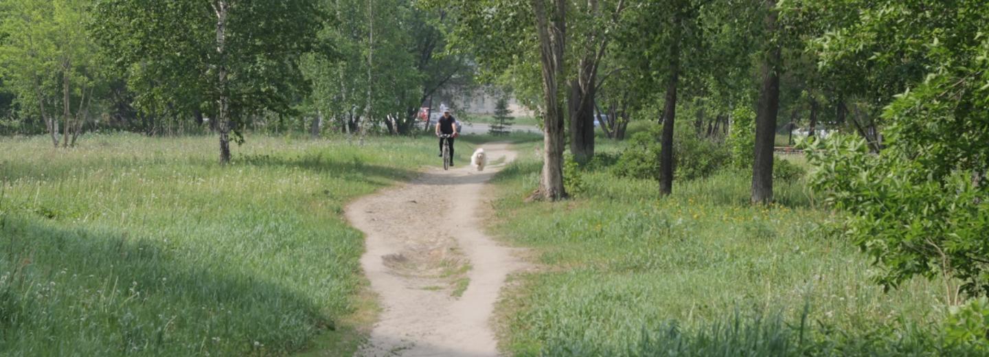 Мэр Кудрявцев: началась подготовка территории в сквере на Демакова