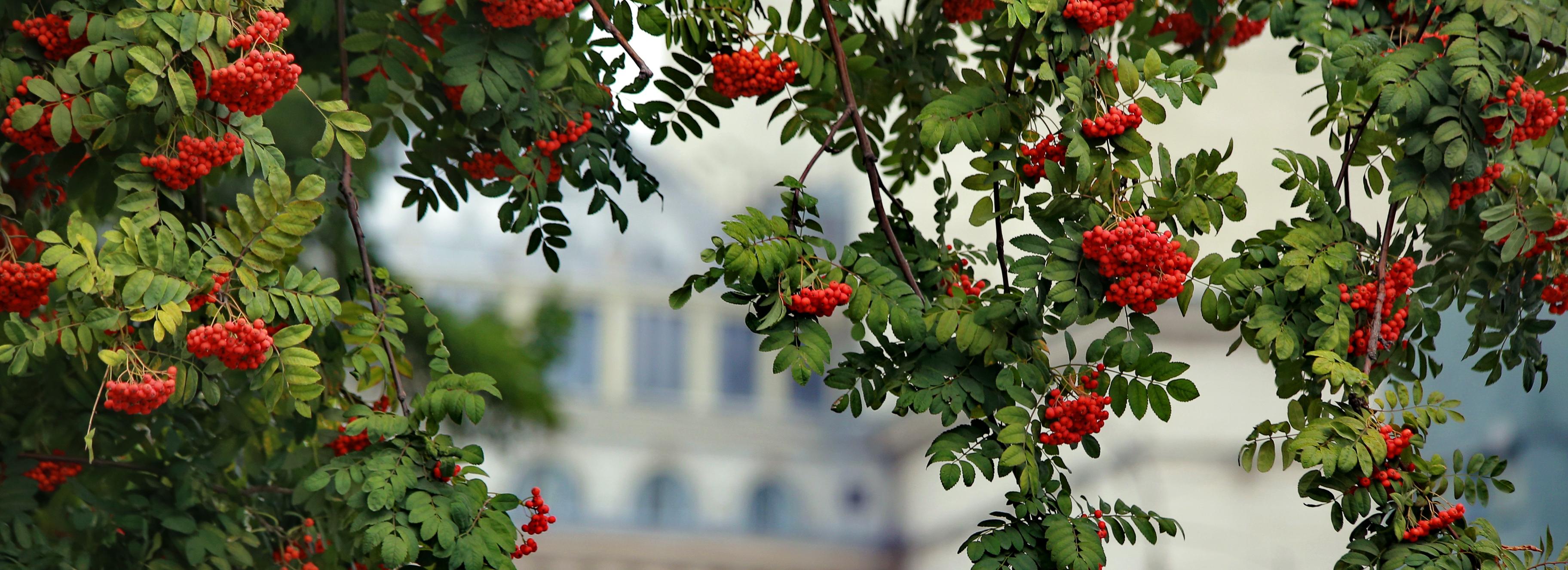Ночью — заморозки, днём — выше +20 градусов: синоптики о погоде в выходные