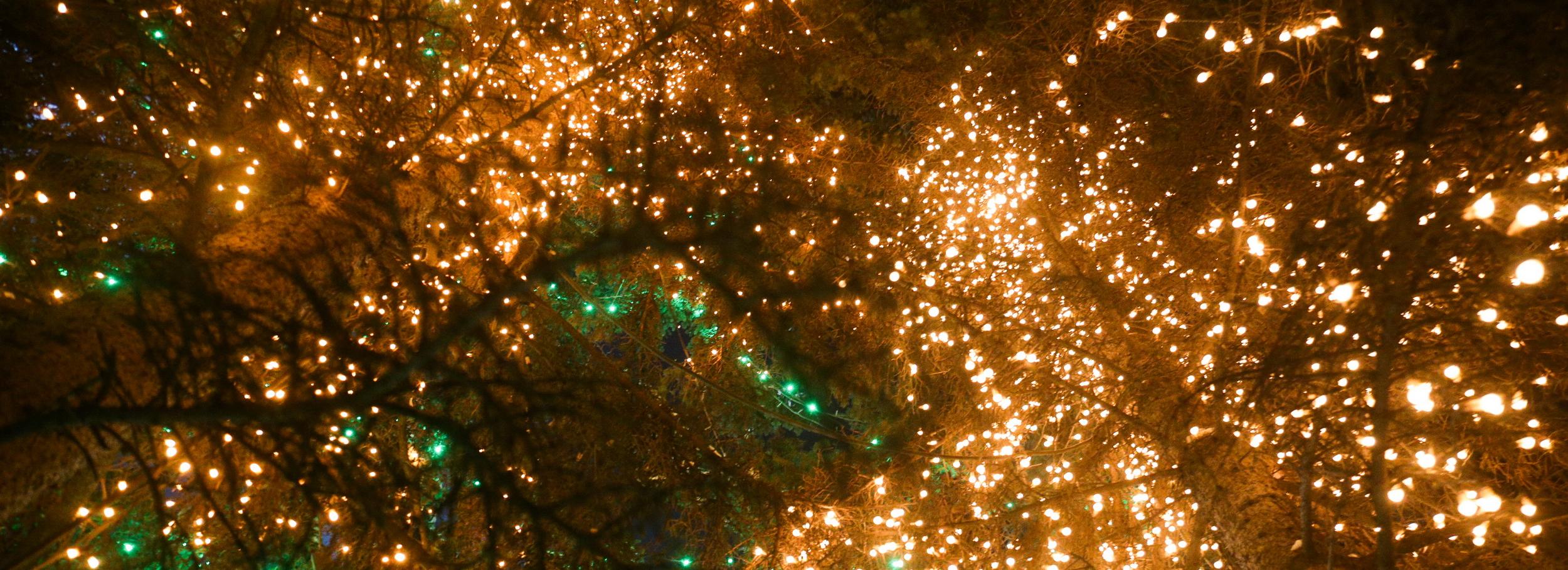 Новогоднюю иллюминацию включат в Новосибирске 1 декабря