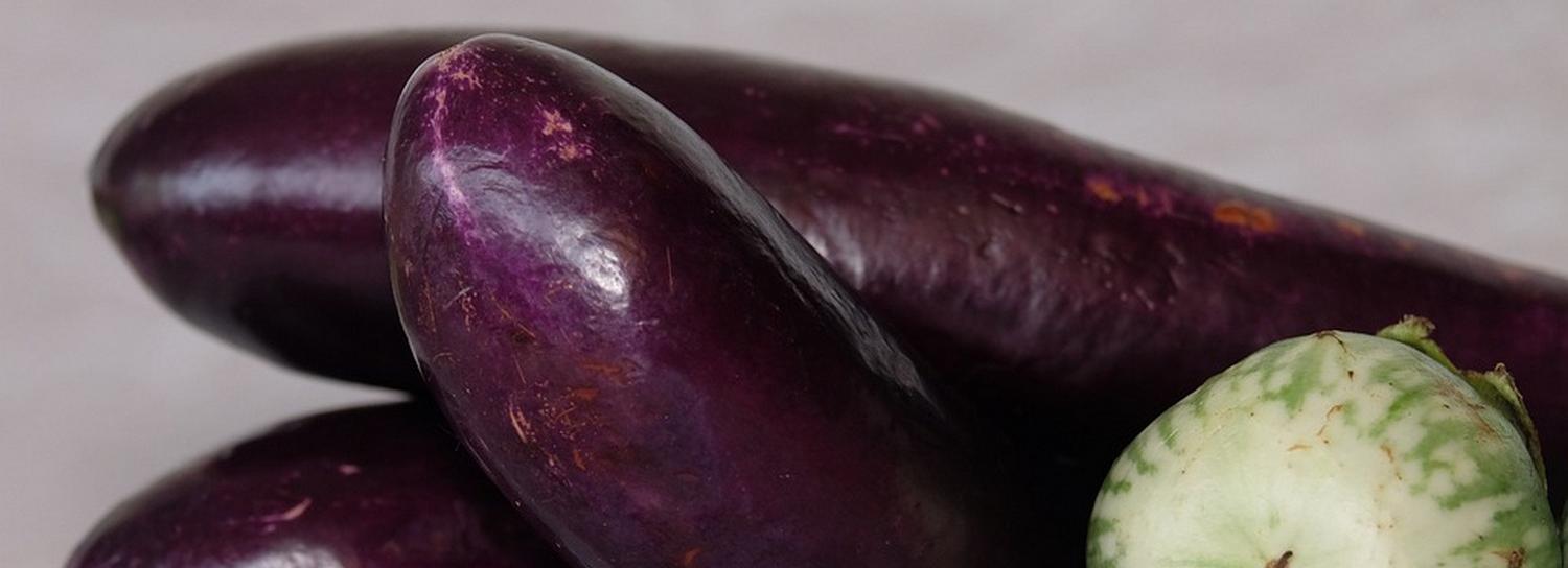 Чистить зубы порошком из баклажана предлагают стартаперы Академпарка