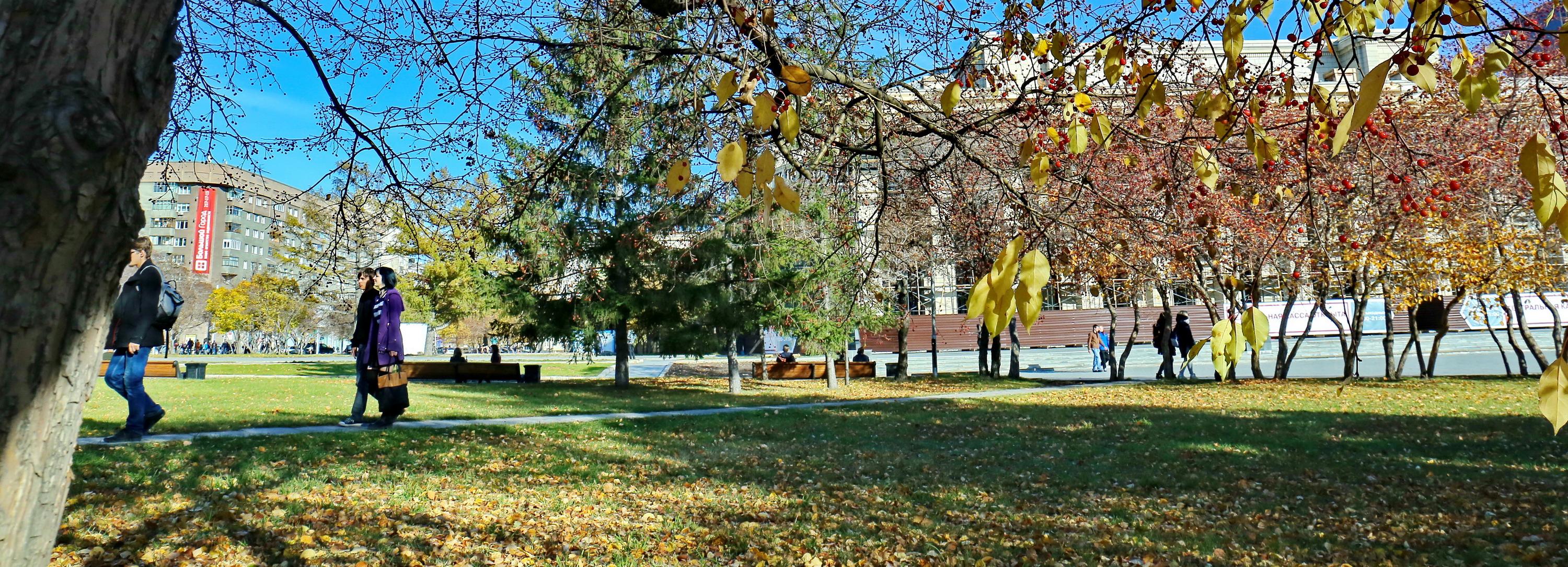 Какую опасность таят в себе осенние листья