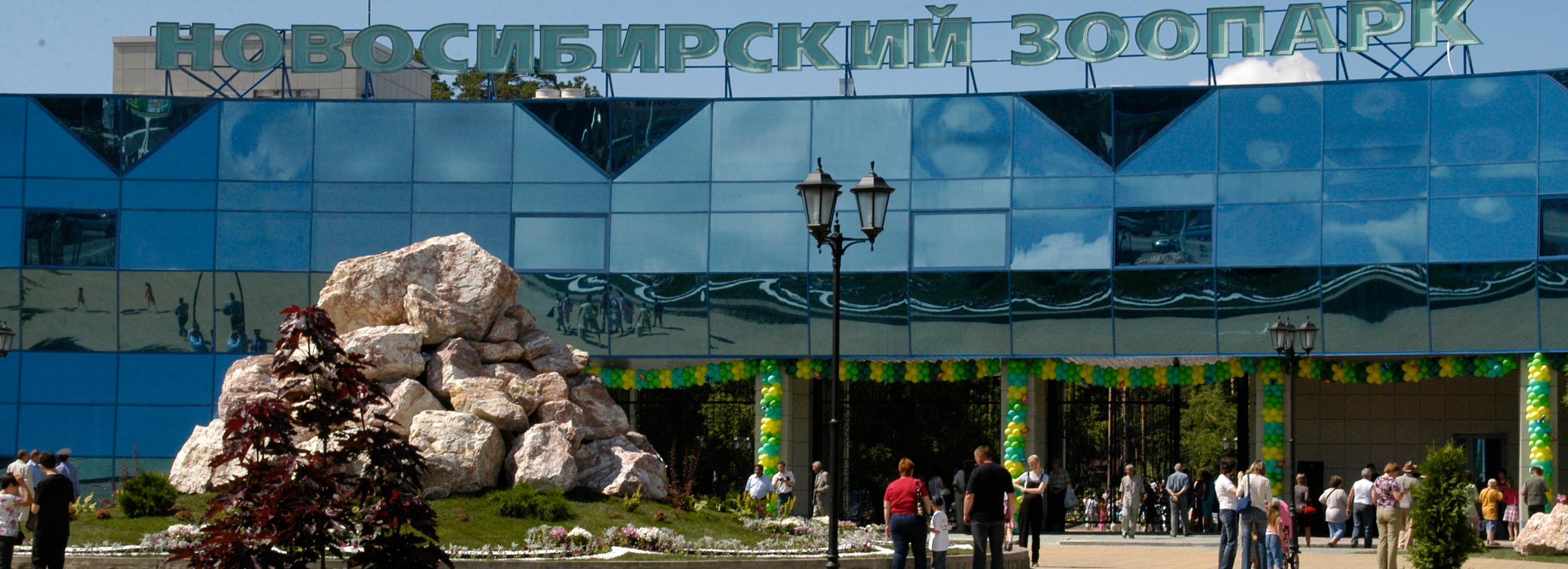 Это не жирафы: пара животных приедет в новосибирский зоопарк из Африки