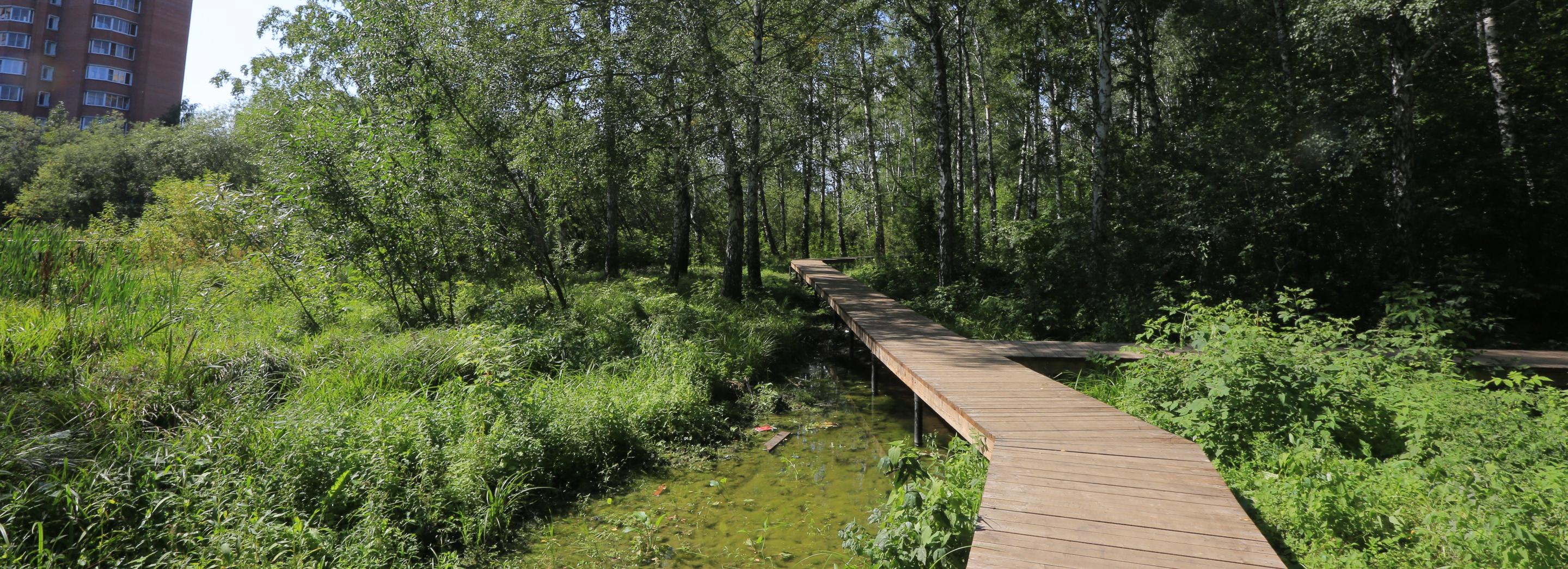 В парке «Каменка» установят фонари за 9 миллионов рублей