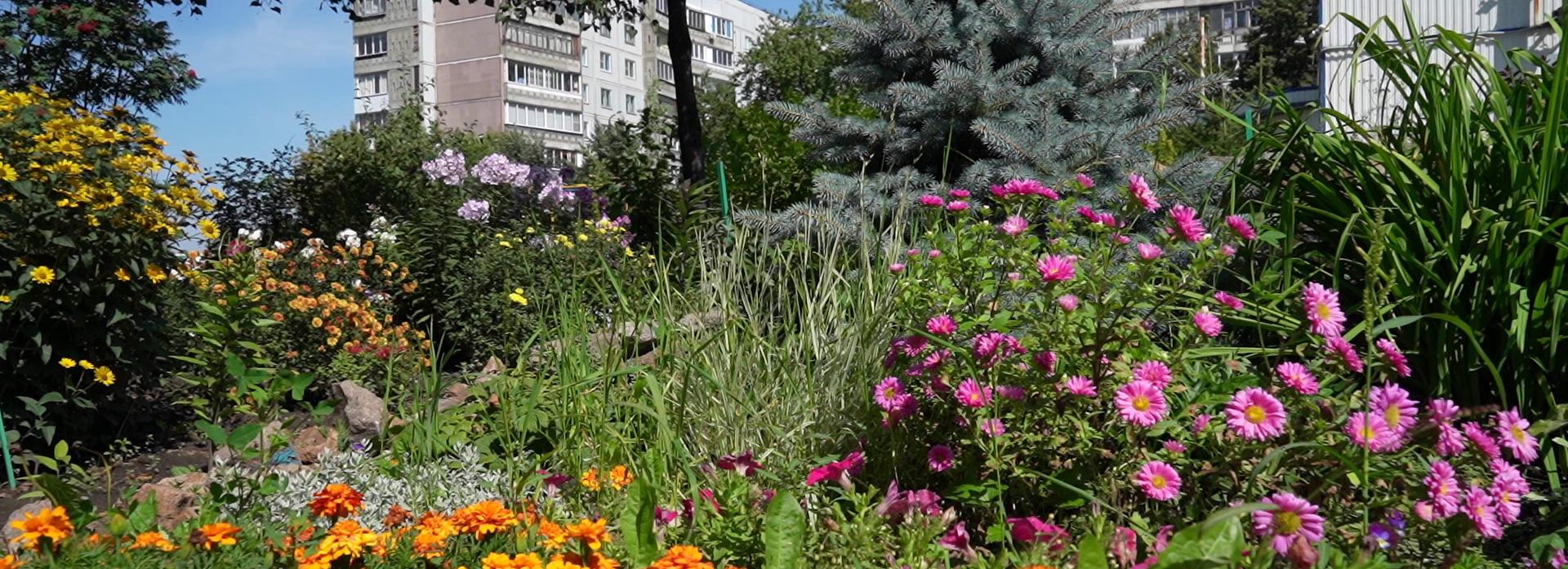 Выбираем лучшую клумбу Новосибирска: Рассветная, 2/3