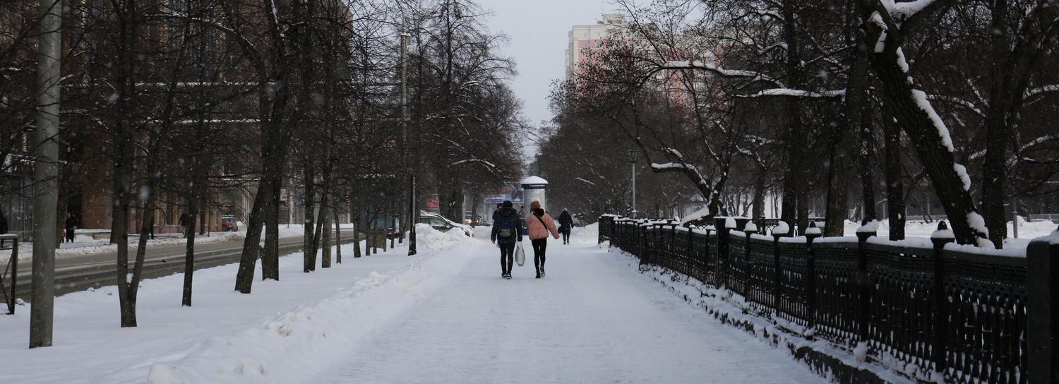 Зима пришла в Новосибирск: фоторепортаж с заснеженных улиц
