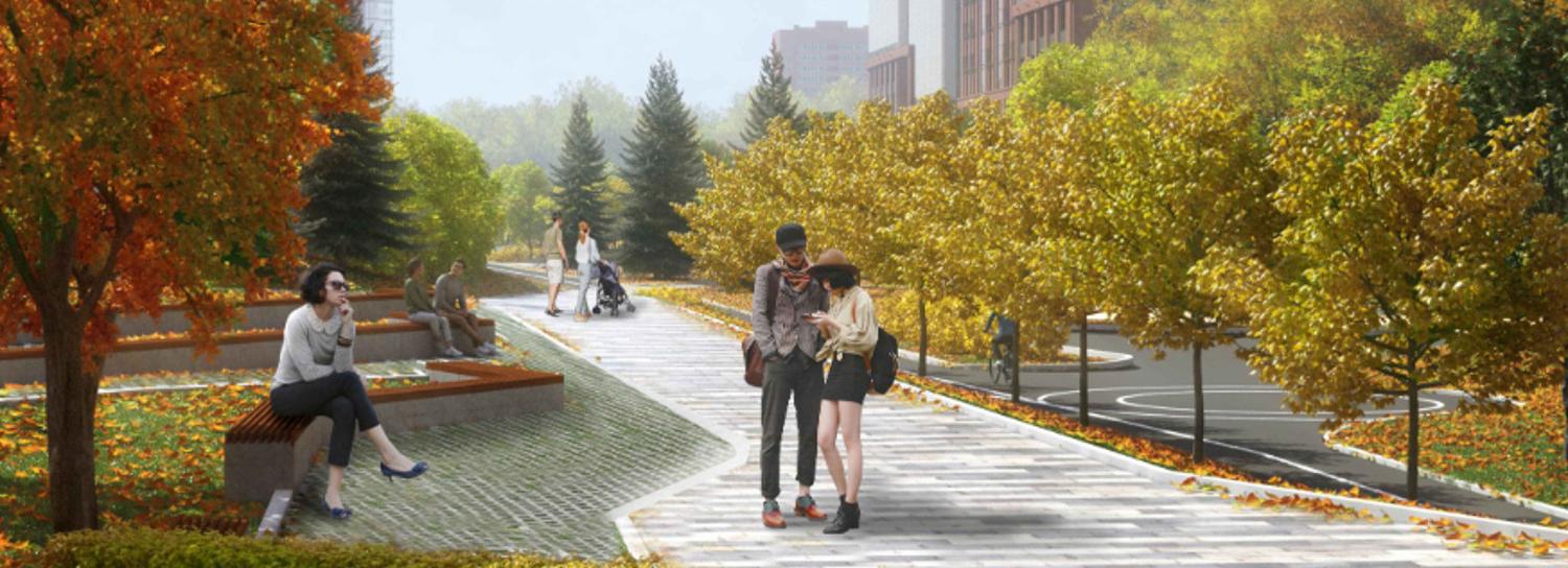 Новый сквер планируют разбить за ТРЦ «Ройял Парк» в Новосибирске