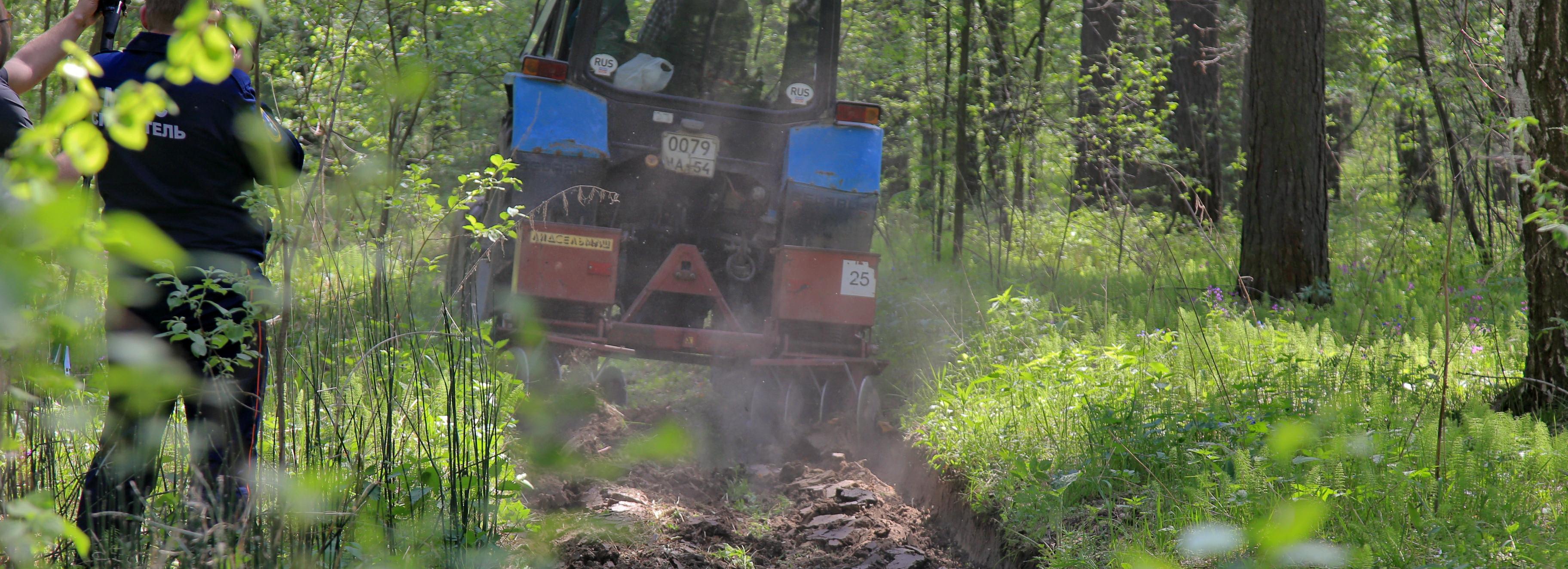 Впервые за много лет весна в Новосибирске прошла без лесных пожаров
