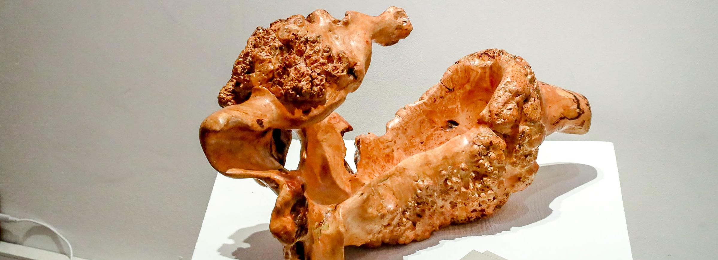 Красота леса: волшебные изделия из дерева выставили в ЦК19