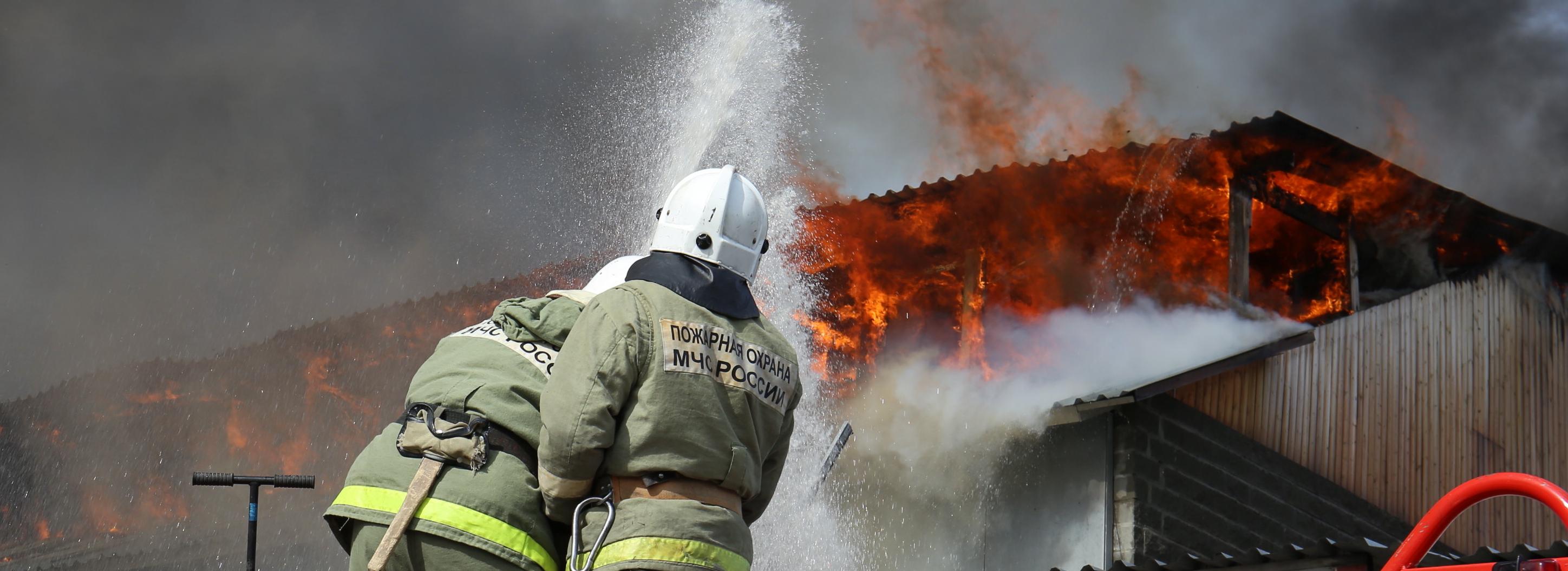 Приют для животных загорелся в Октябрьском районе: погибли шесть собак