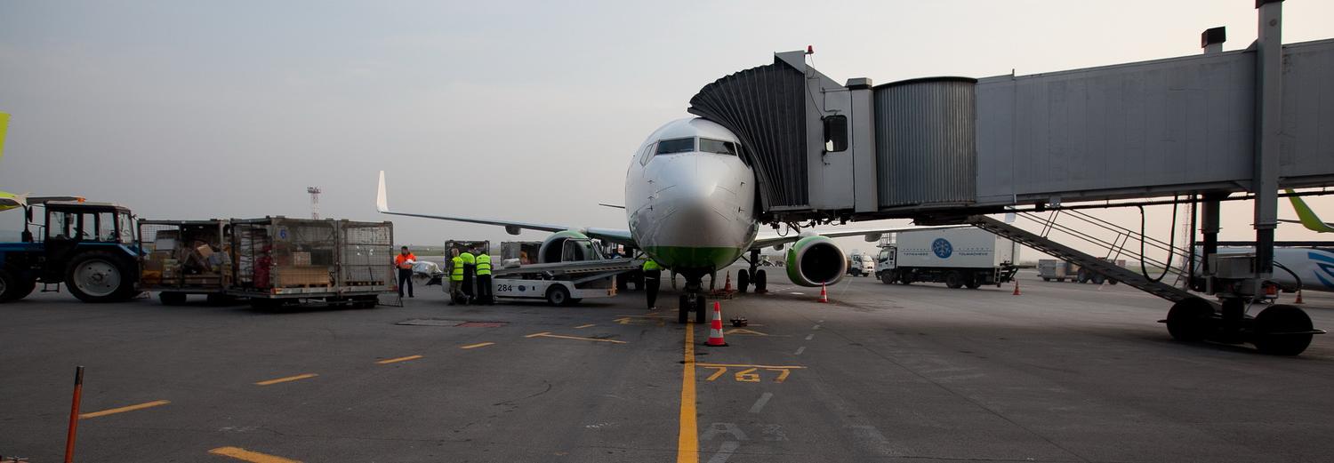 Грозный, Оренбург и Волгоград: аэропорт Толмачёво переходит на новое расписание