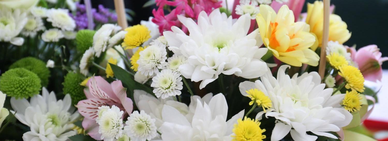 Акцию «Дети вместо цветов» объявили к 1 сентября в Новосибирске