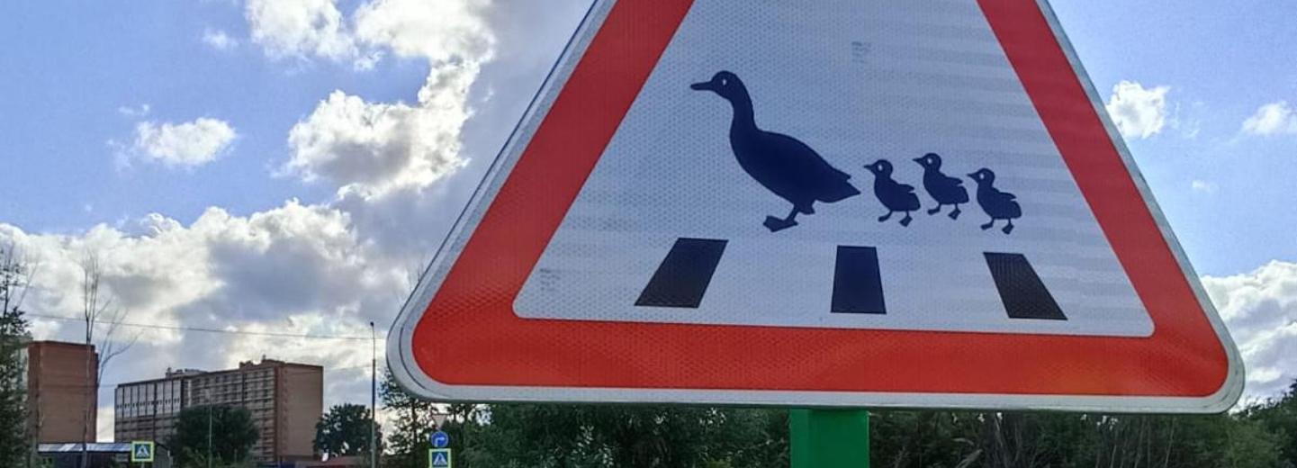 Милый знак «Утки на дороге!» появился в Новосибирске