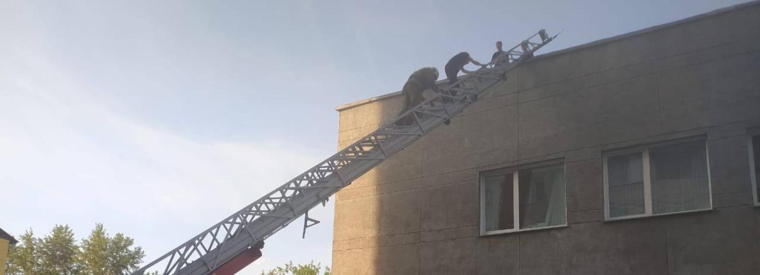 Троих подростков сняли с крыши здания в Новосибирске