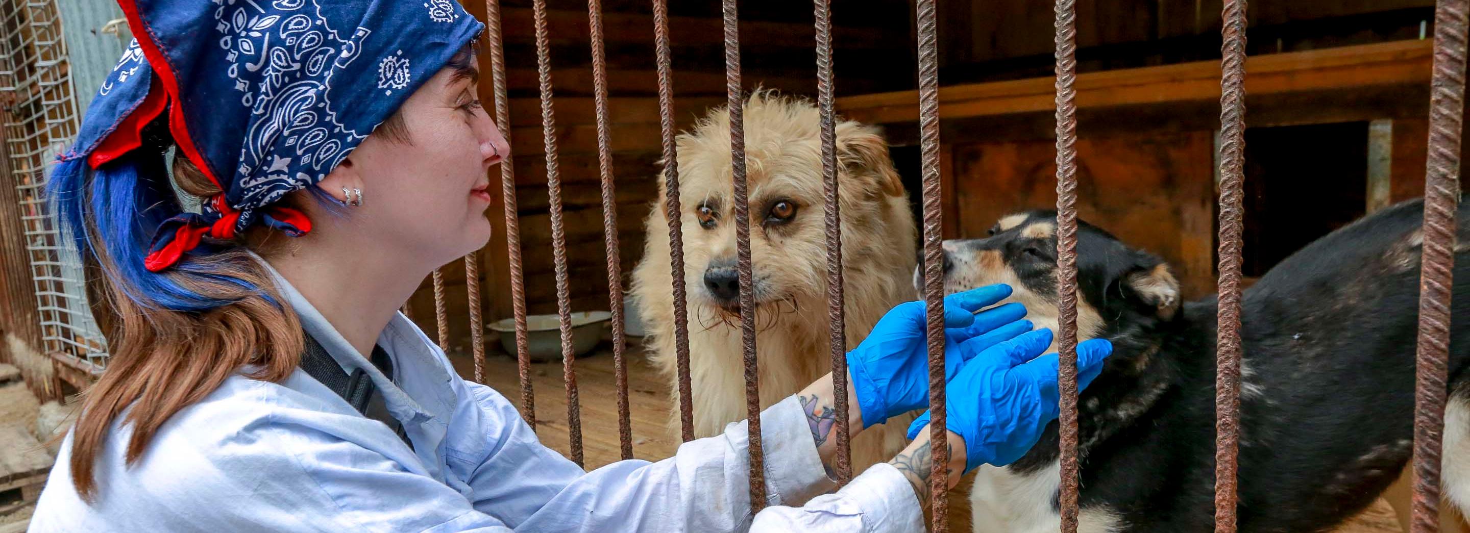 10 вещей, которые обязательно нужно сделать в декабре