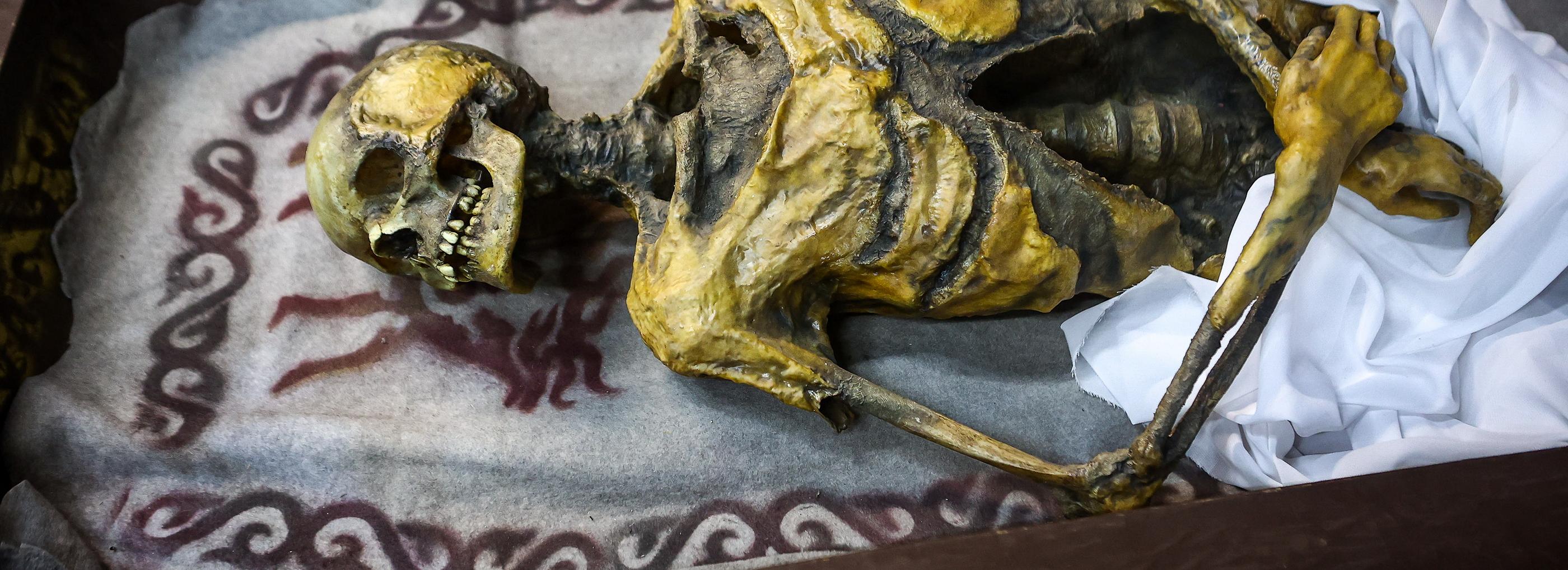 Новосибирский институт вернёт Алтаю предметы из кургана «принцессы Укока»