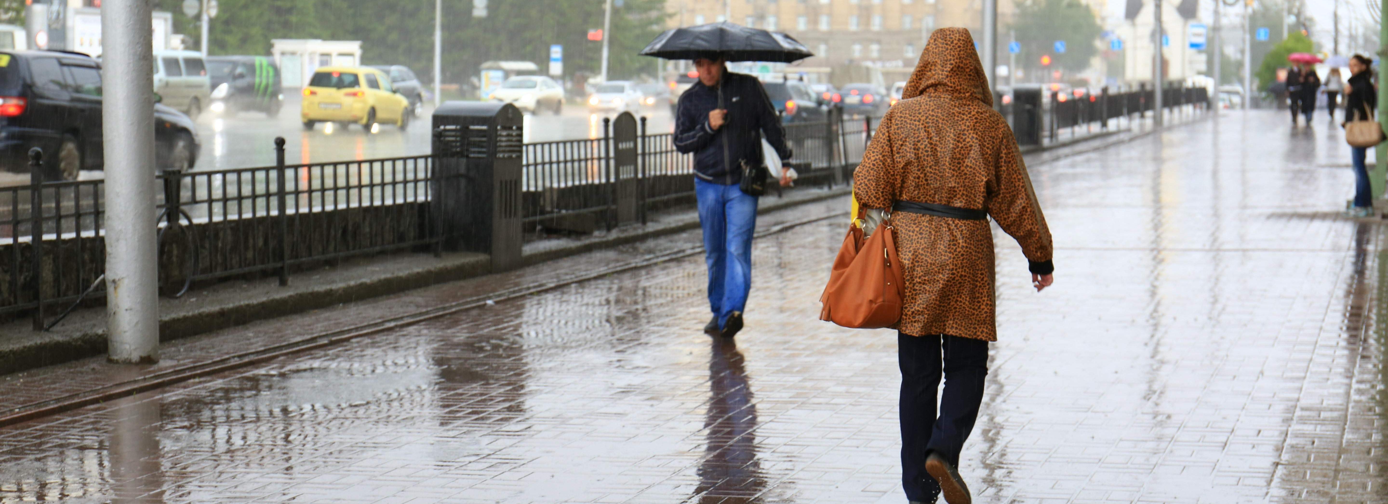 Прохладную неделю обещают новосибирцам синоптики