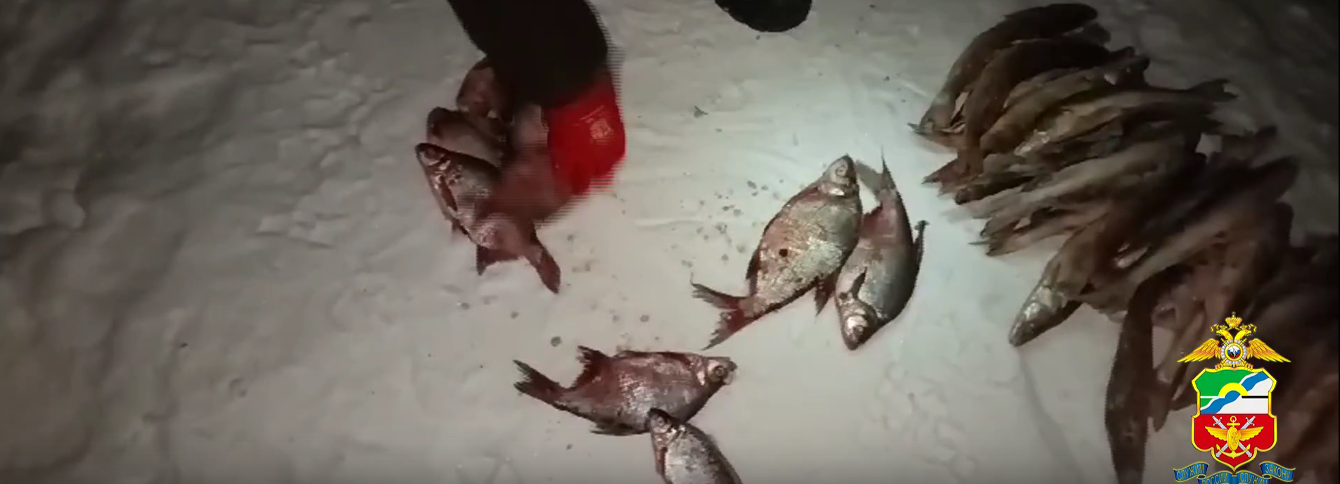 Наловивший 80-метровой сетью окуней и карасей рыбак угодил в полицию