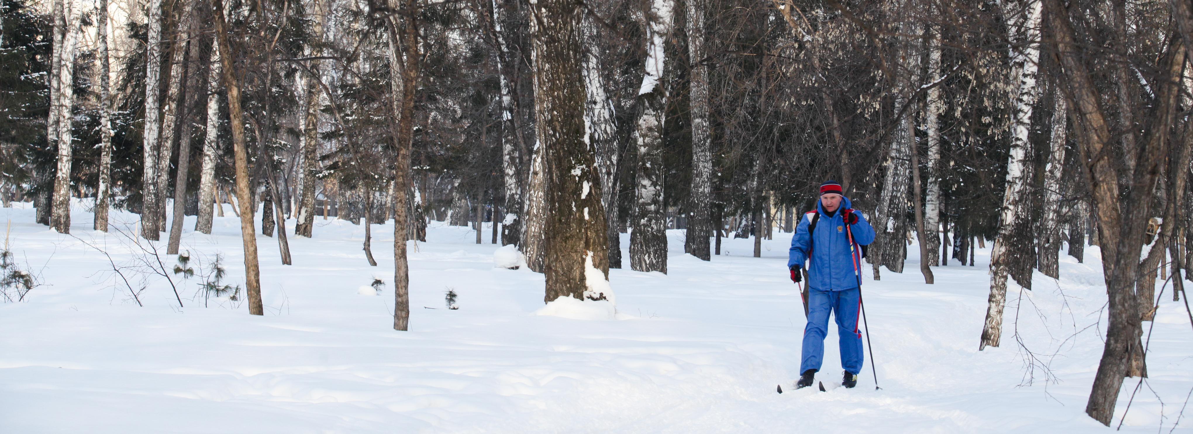 Лыжную трассу открыли в новосибирском парке «Бугринская роща»