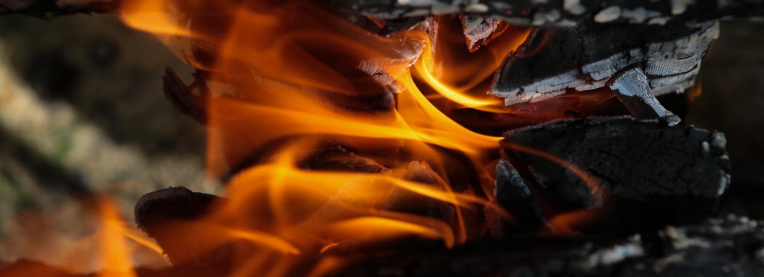 Штраф до 20 тысяч грозит новосибирцам за костры на майских праздниках