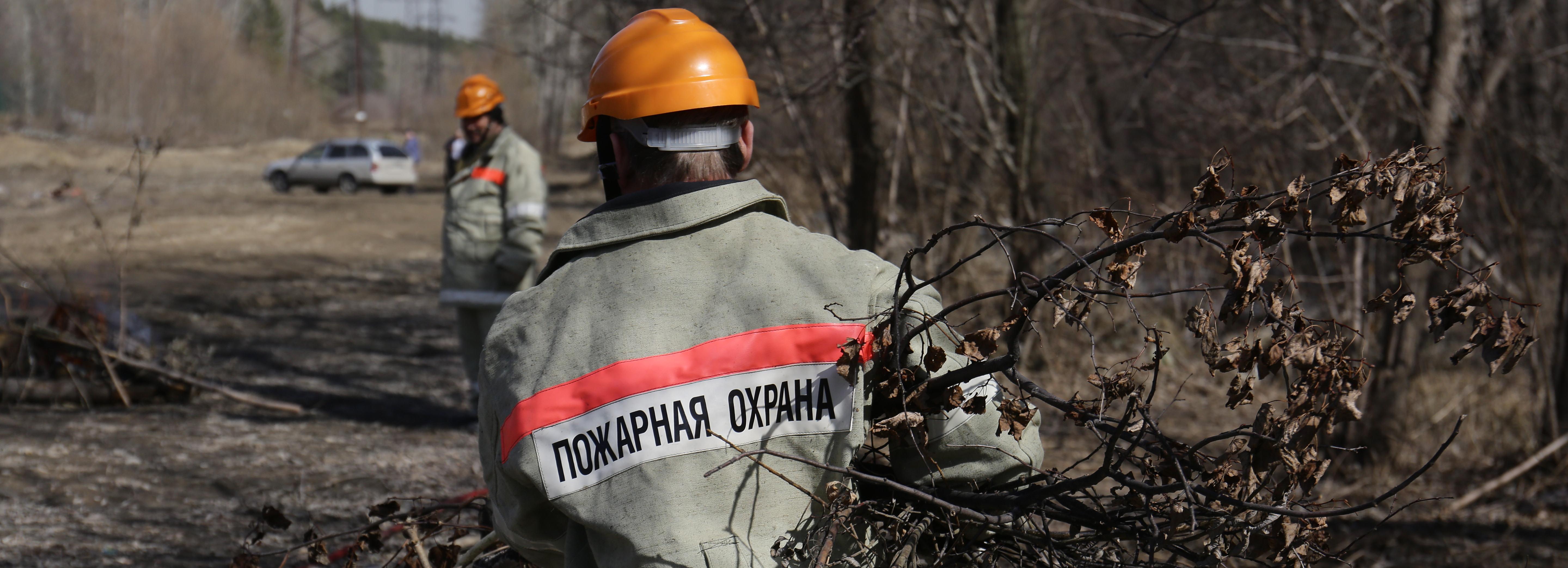 Банда вымогателей сожгла посевы у агрария в Новосибирской области