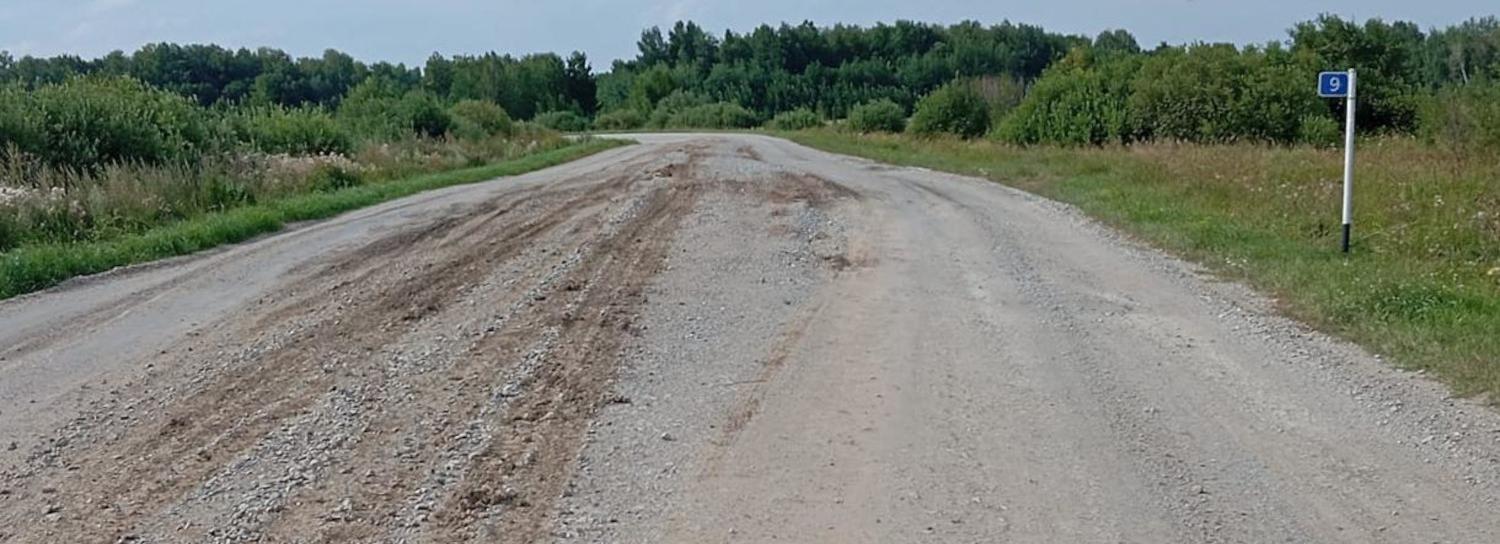 Старый Московский тракт возле лагеря «Незабудка» обновят по БКД