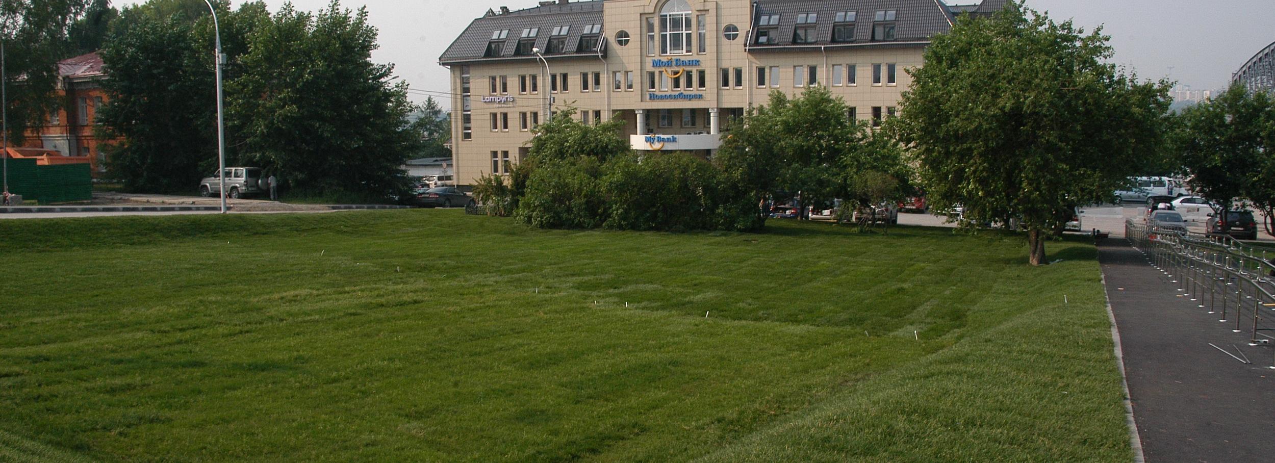 Девять гектаров газона скосили в Новосибирске за сутки