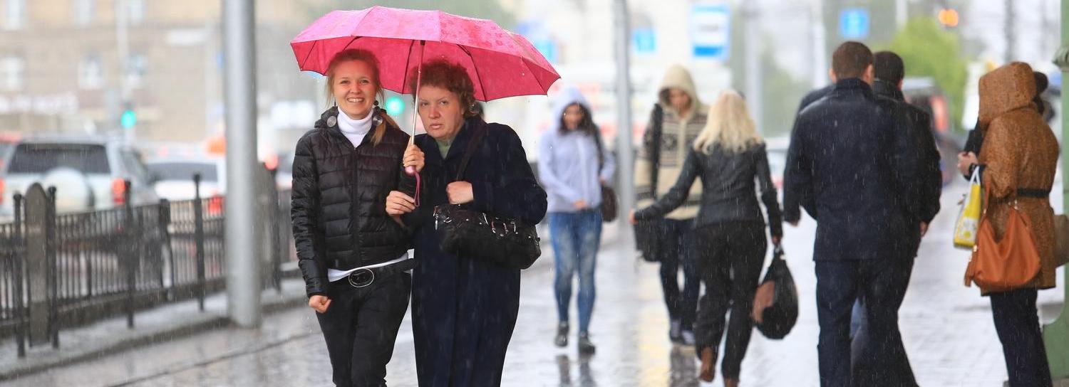 Сильный ветер и ночные заморозки ожидаются в Новосибирской области