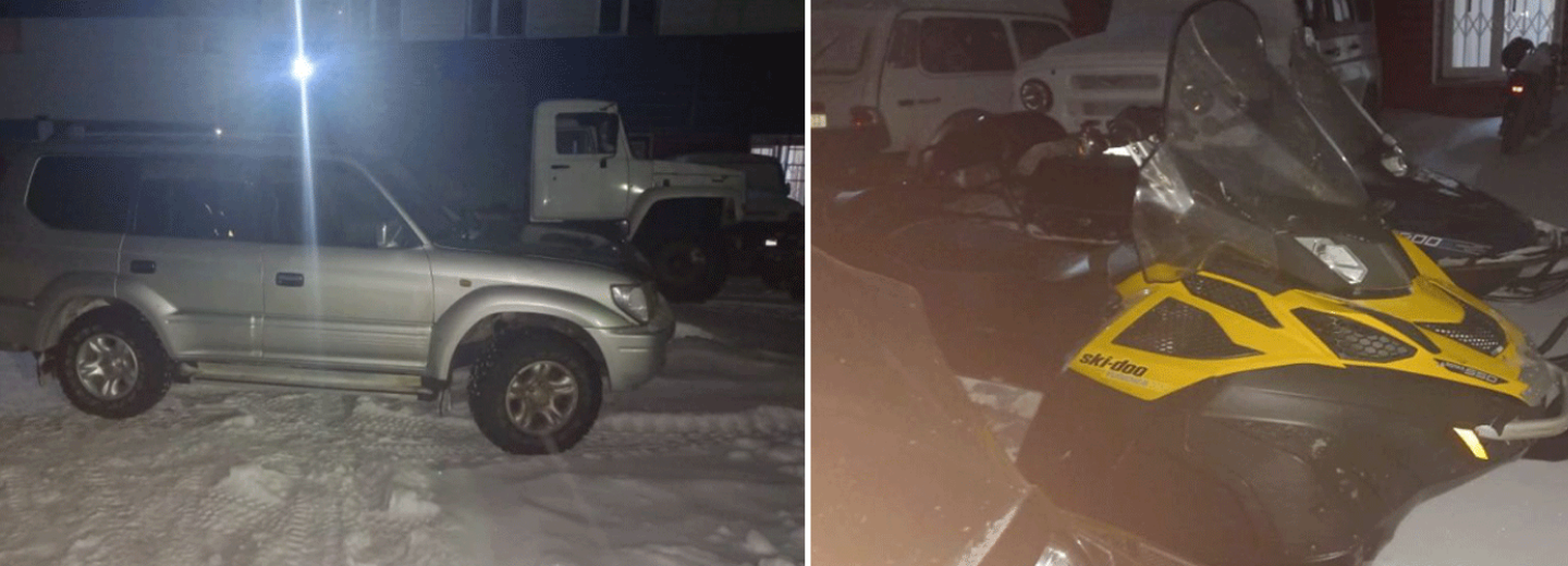 Охотники убили пятерых лосей вместо одного в Новосибирской области