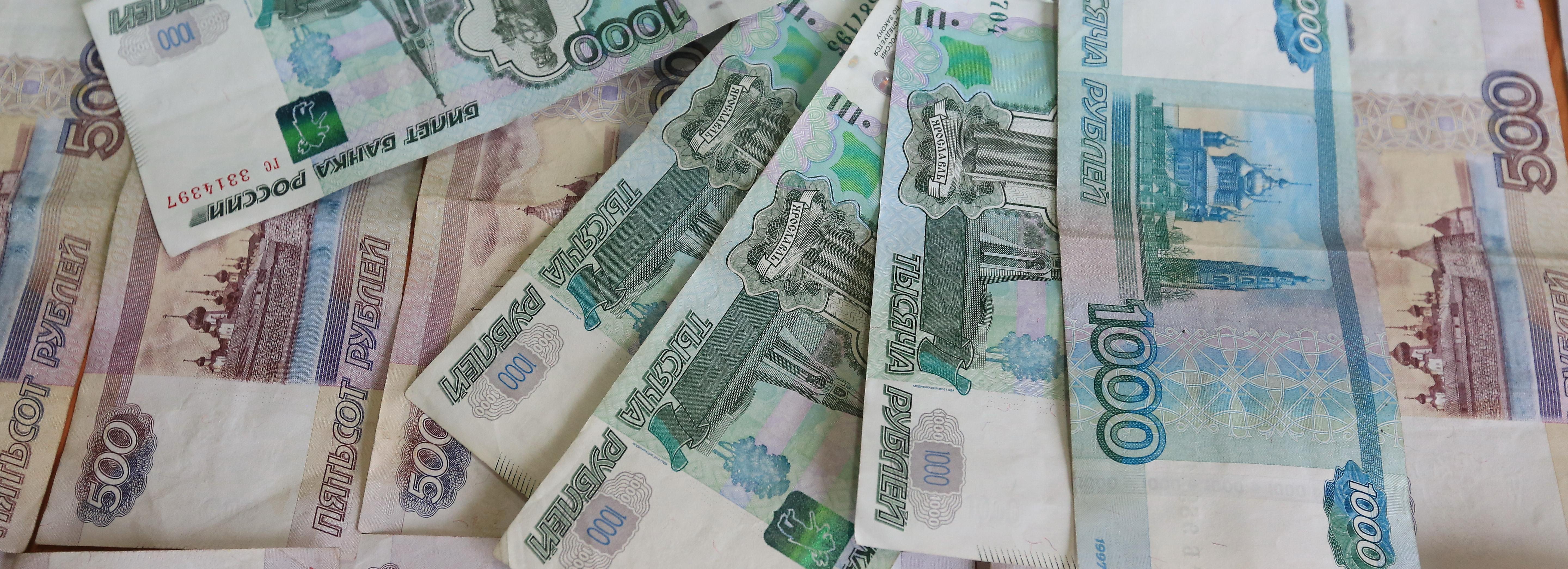 Хвостатый Робин не дал вывезти 780 тысяч из Новосибирска в Узбекистан