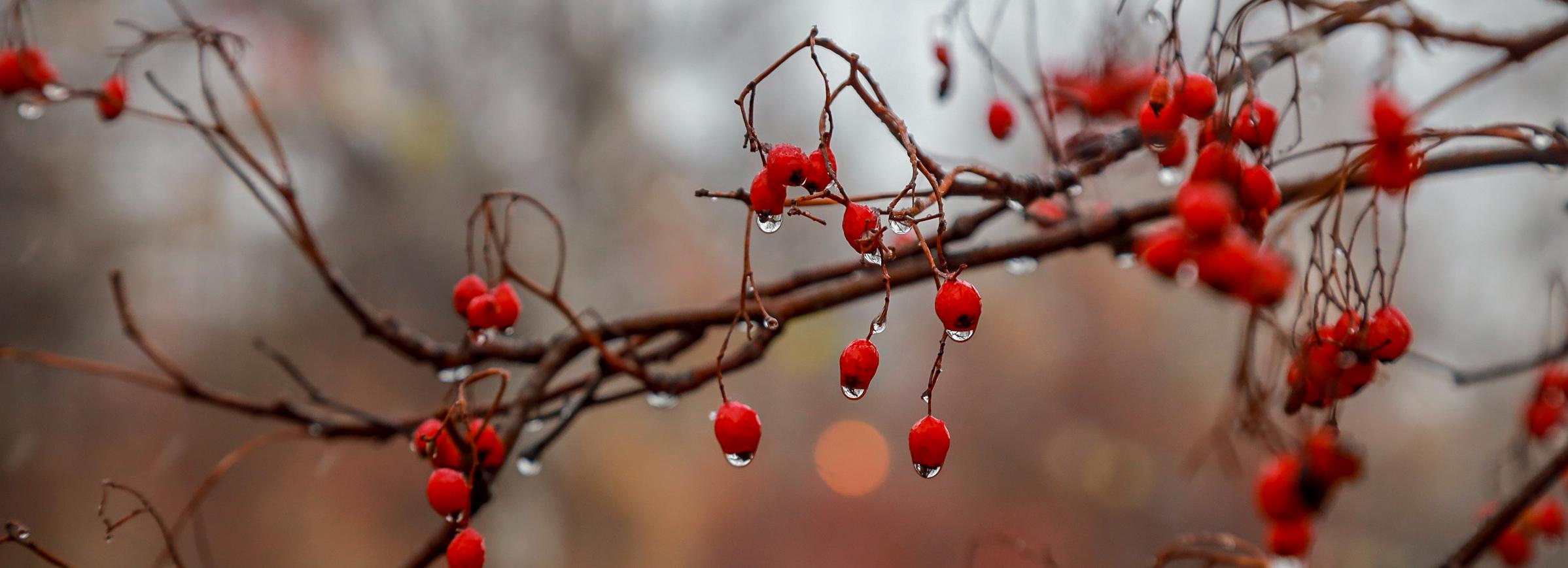 Синоптики предупредили новосибирцев о капризной погоде до конца ноября