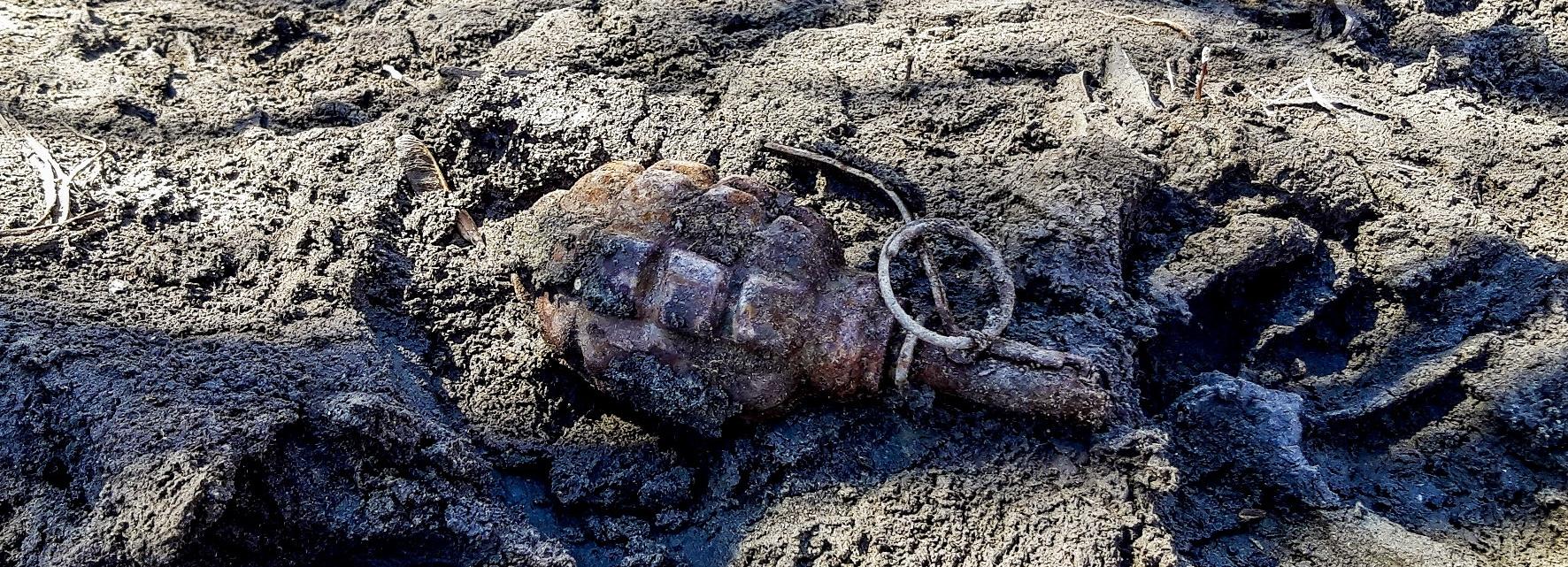 Учебную гранату нашли во время субботника в пойме Каменки