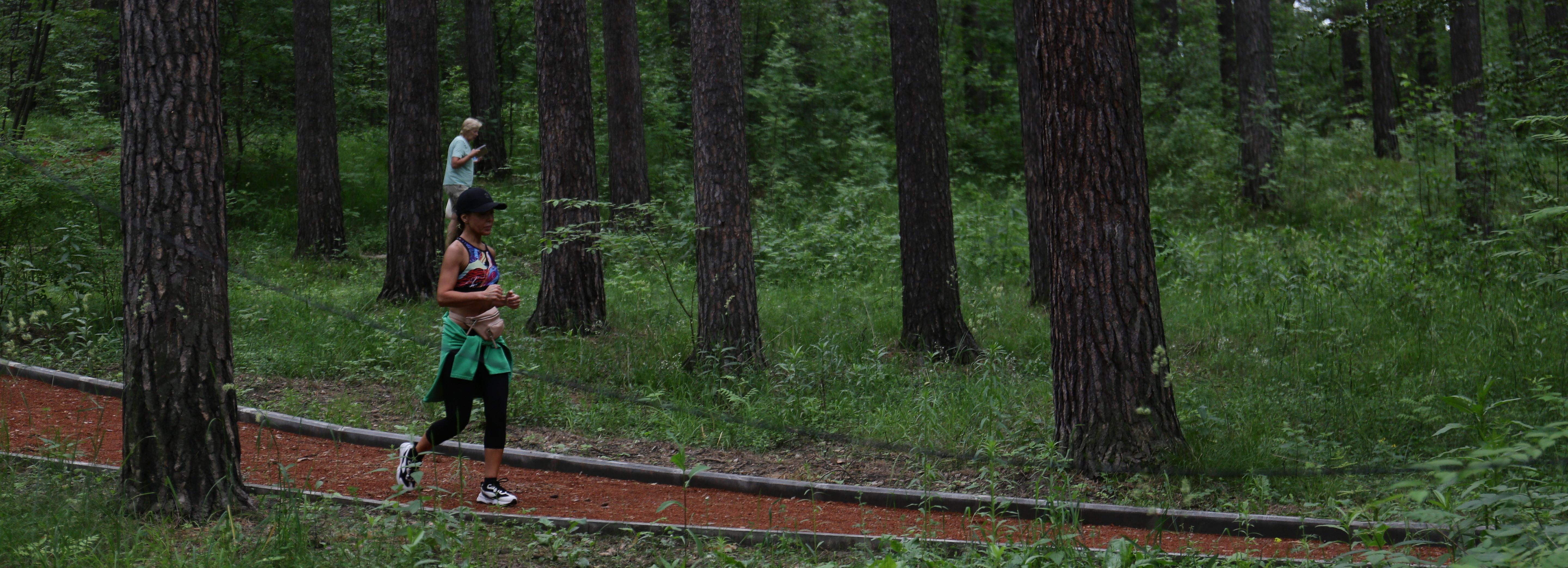 Ради защиты Заельцовского бора скорректируют генплан Новосибирска