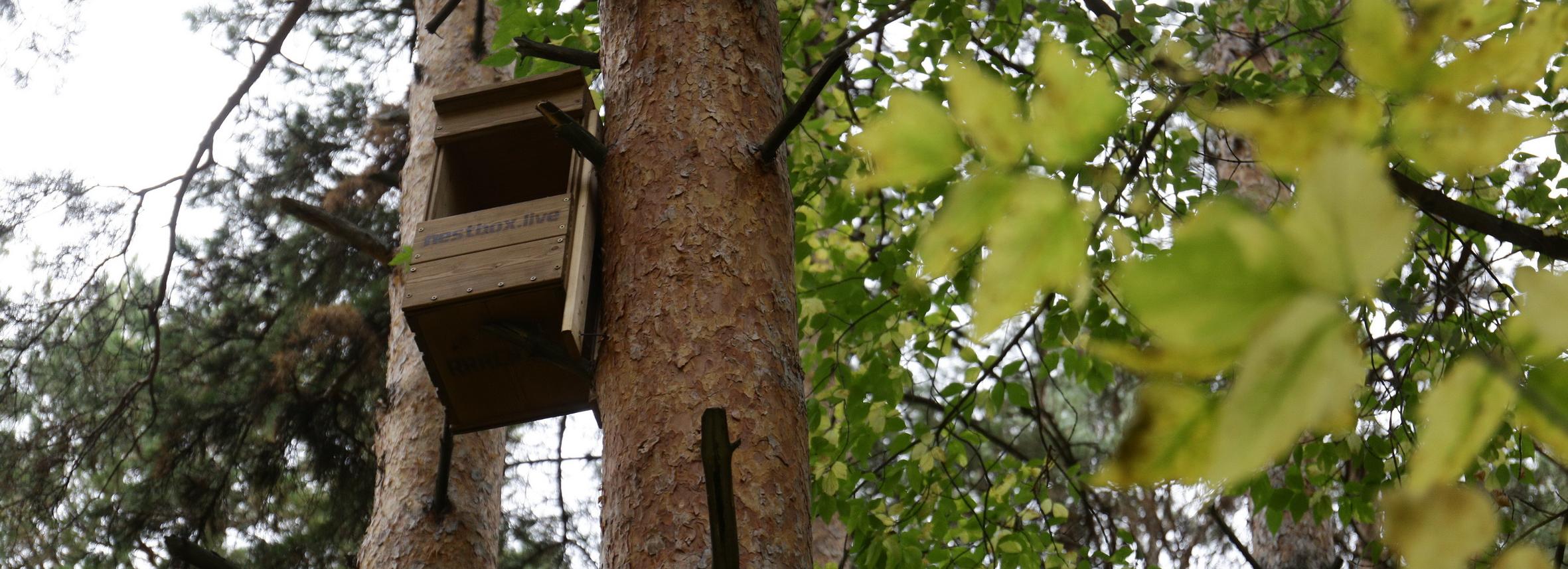 Если вы пропустили: девушка-космос, залипательные книжки и домики для сов