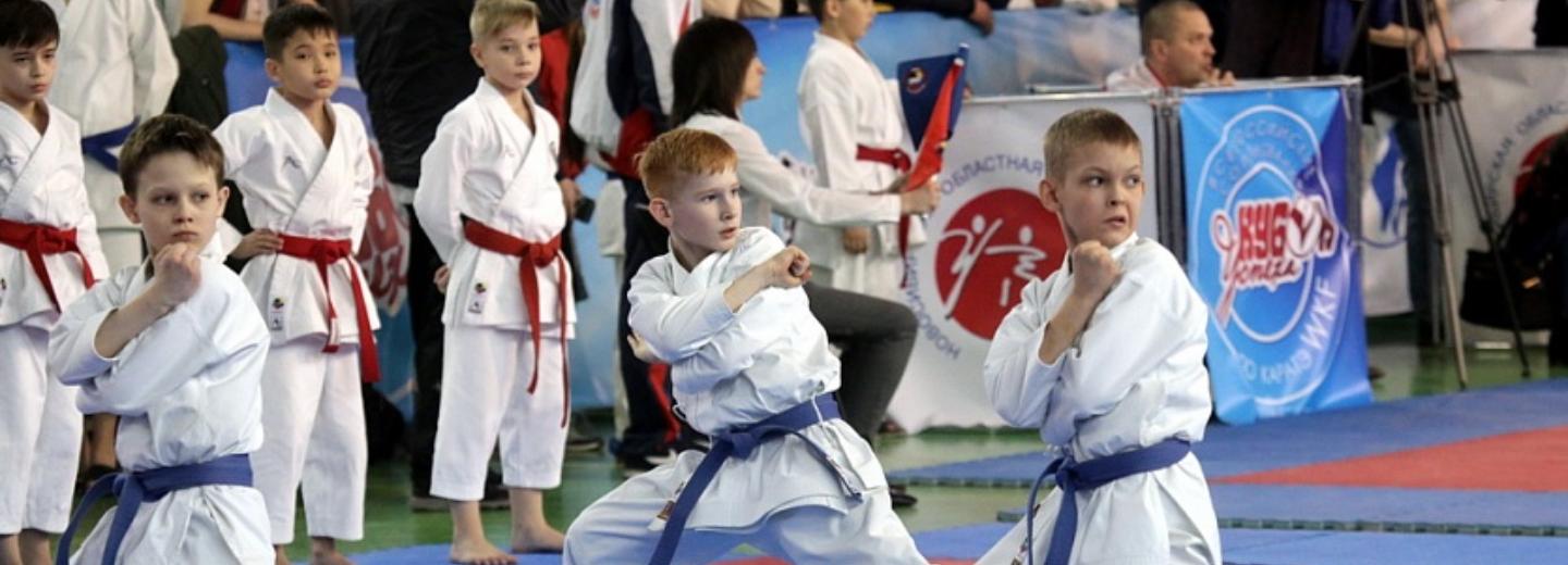 Новую ледовую арену застелят татами для каратистов