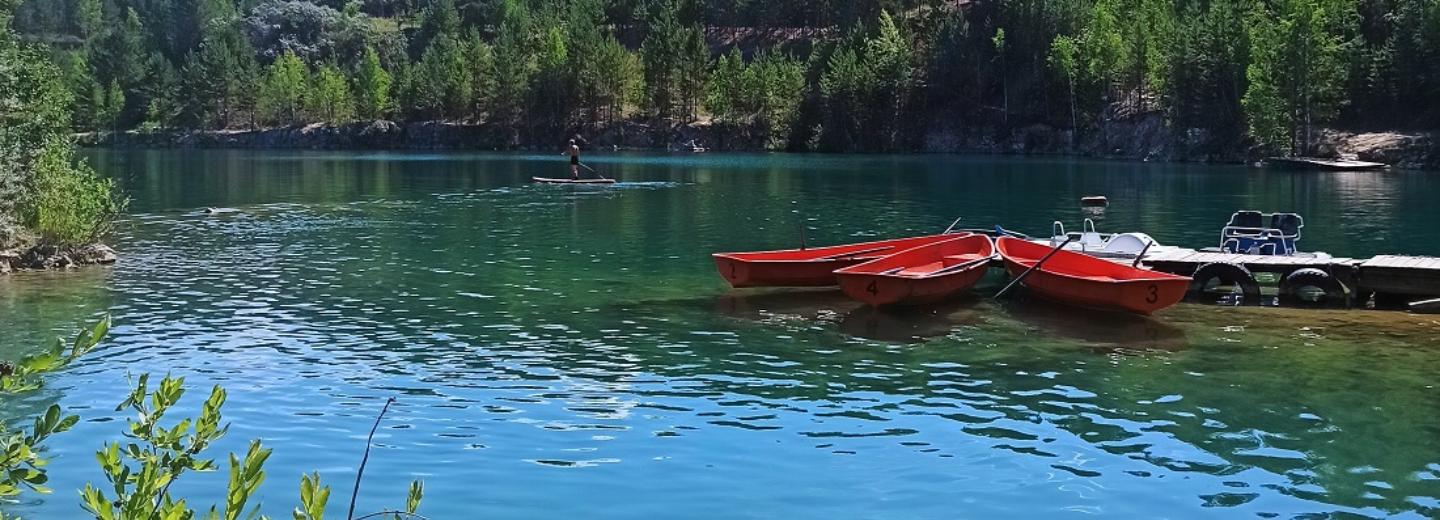 Косяк огромных неторопливых рыб заметили новосибирцы в абрашинском озере