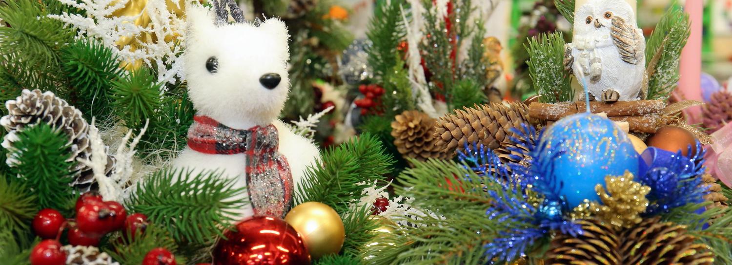 Подарки для детей-сирот на Новый год собирают актёры «Красного факела»