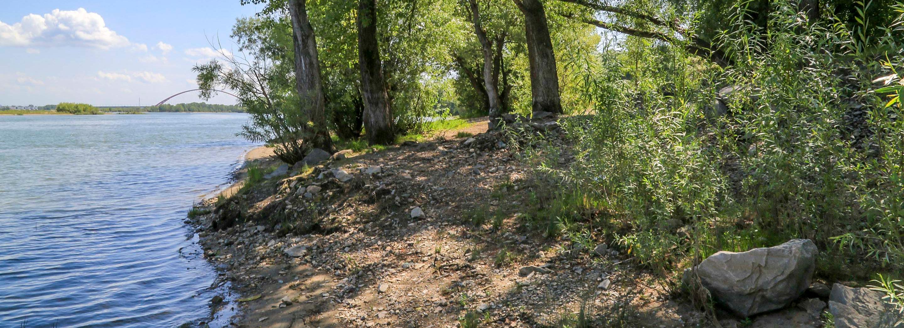 Спасатели вернули унесённую течением лодку на остров в Новосибирске