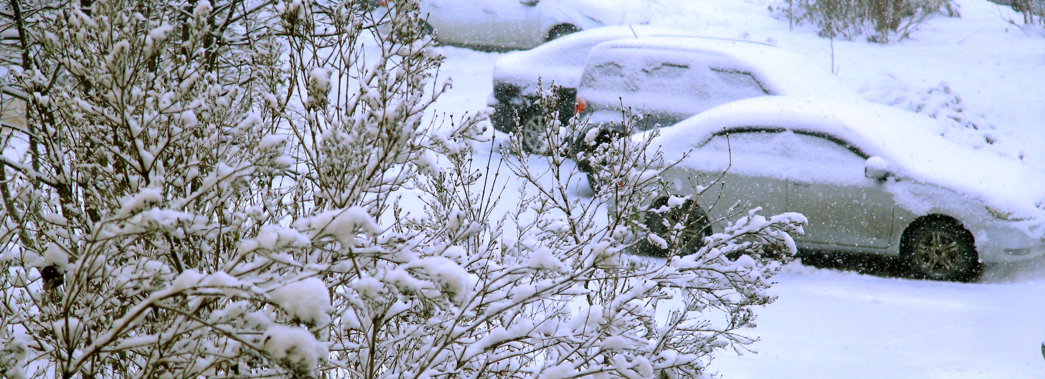 Новосибирцев предупредили о порывистом ветре, снегопадах и метелях