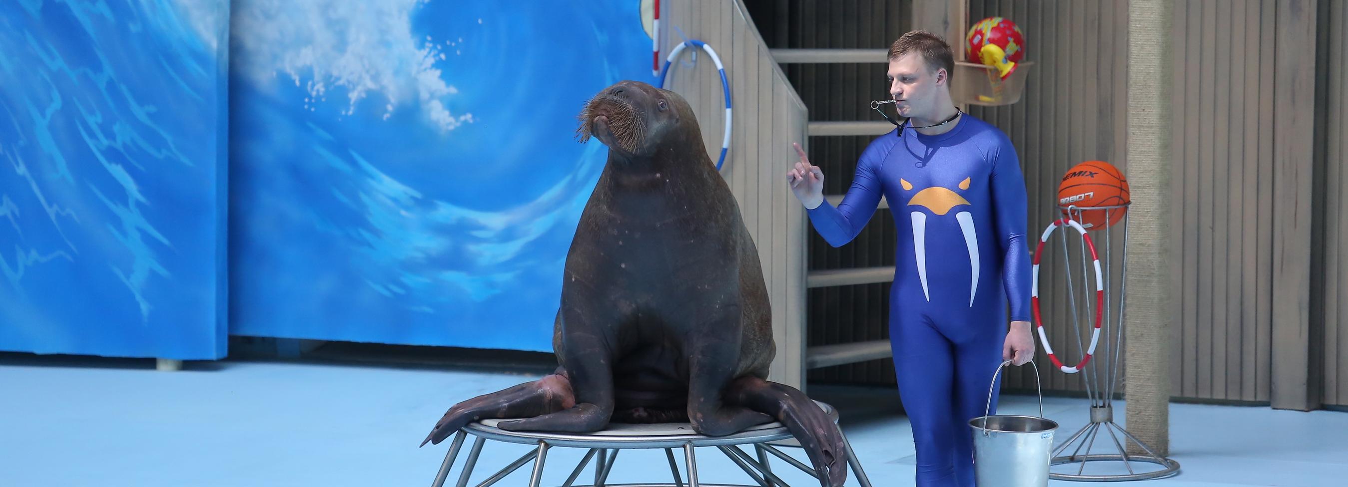 Афиша Новосибирска: куда сходить во вторник, 3 августа