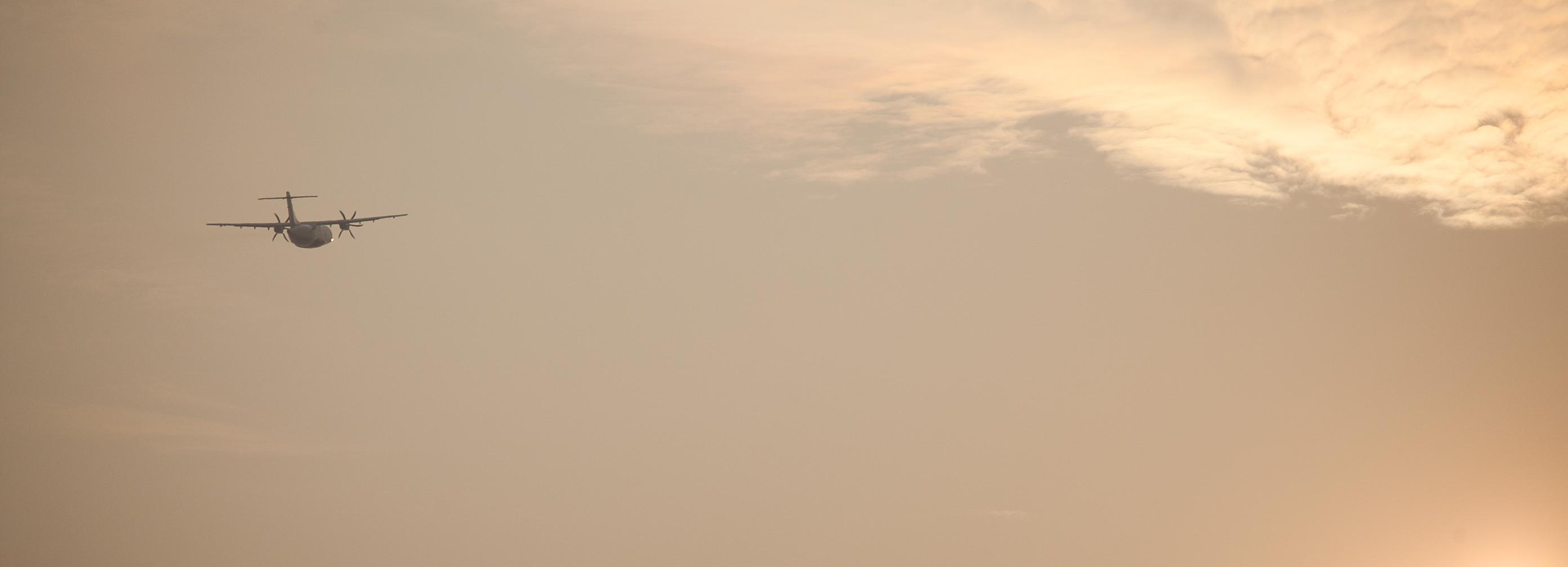 Севший в пшеничном поле под Новосибирском самолёт могут списать в утиль