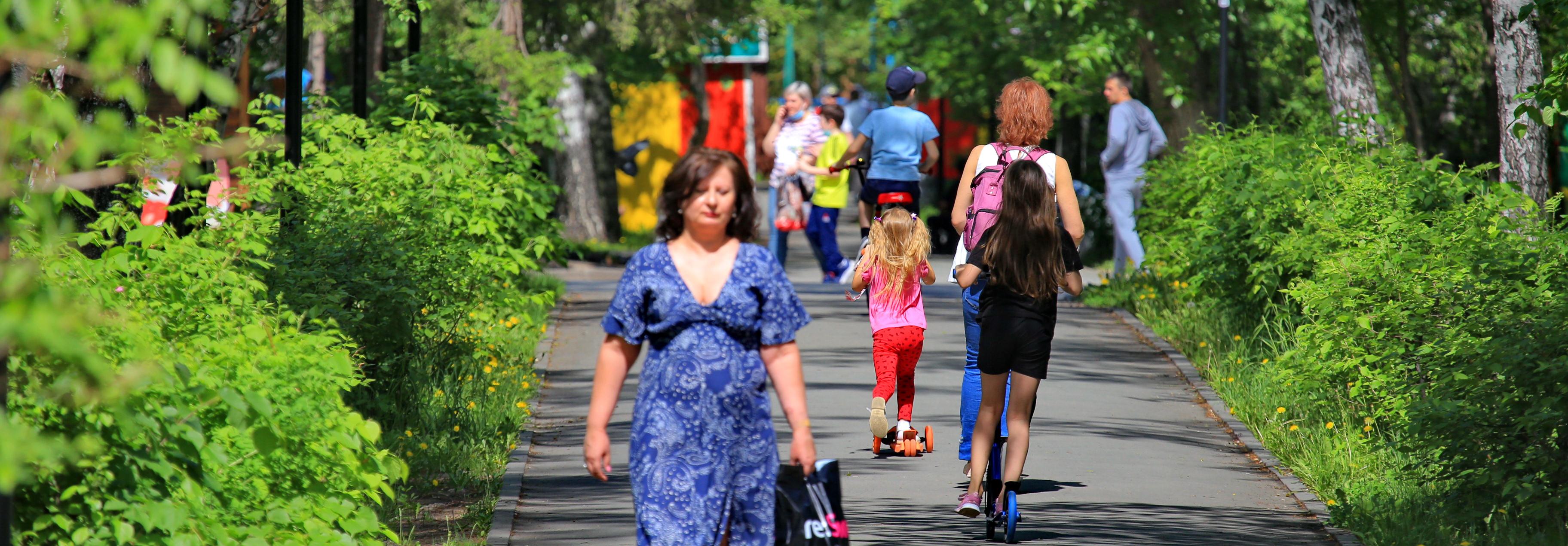 Как держатся новосибирцы во время пандемии: мэрия запустила новый опрос